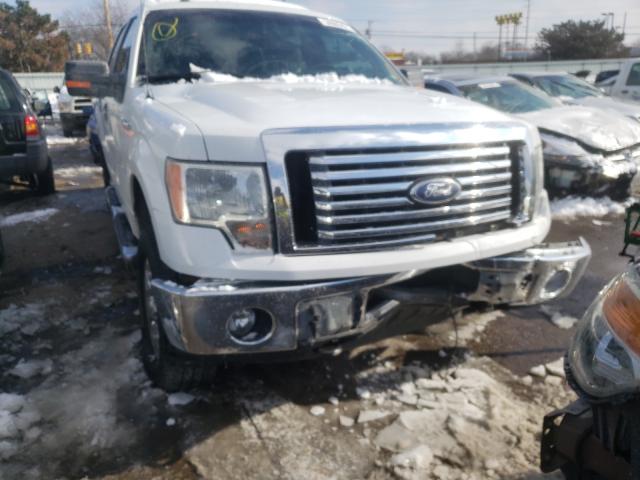 Photo 8 VIN: 1FTFW1EF5BFC68442 - FORD F150 SUPER 