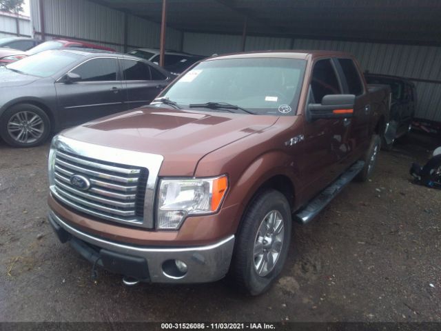 Photo 1 VIN: 1FTFW1EF5CFB10345 - FORD F-150 