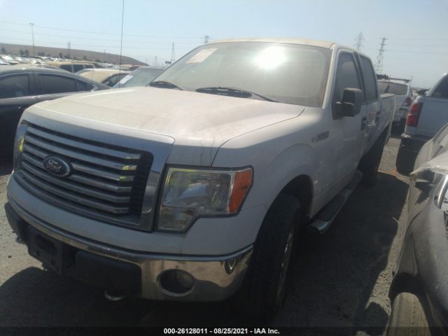 Photo 1 VIN: 1FTFW1EF5CFC21591 - FORD F-150 