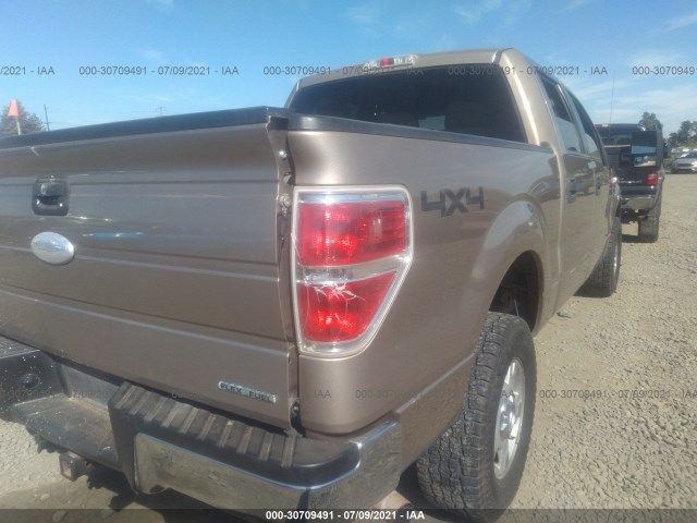 Photo 5 VIN: 1FTFW1EF5CKD13730 - FORD F-150 