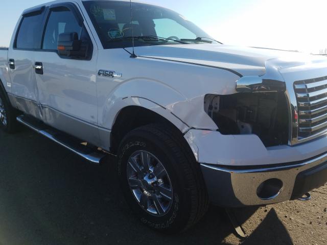 Photo 8 VIN: 1FTFW1EF5CKD30513 - FORD F150 SUPER 