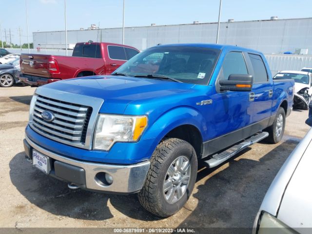 Photo 1 VIN: 1FTFW1EF5CKE29364 - FORD F-150 