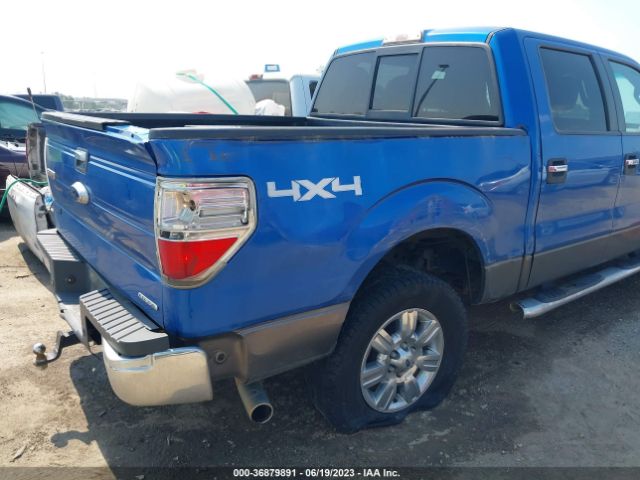 Photo 5 VIN: 1FTFW1EF5CKE29364 - FORD F-150 