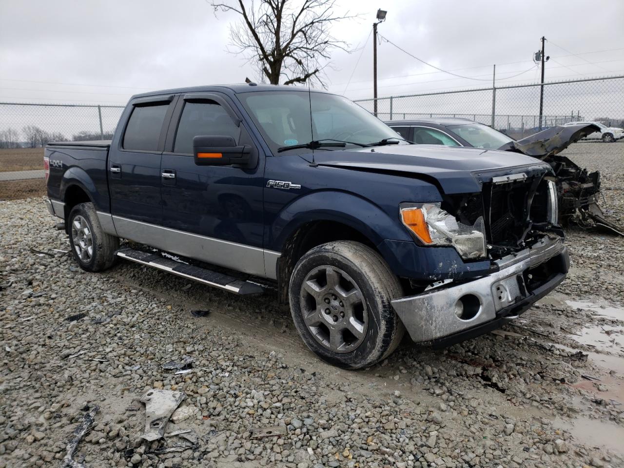 Photo 3 VIN: 1FTFW1EF5DFA45109 - FORD F-150 