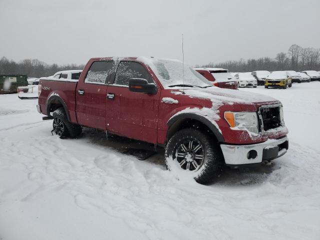 Photo 3 VIN: 1FTFW1EF5DFC10902 - FORD F150 SUPER 