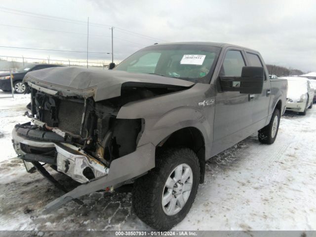 Photo 1 VIN: 1FTFW1EF5DFC82201 - FORD F-150 