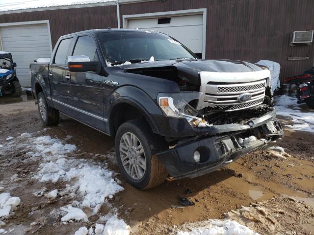 Photo 0 VIN: 1FTFW1EF5DFD01555 - FORD F150 SUPER 