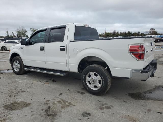 Photo 1 VIN: 1FTFW1EF5DFD53204 - FORD F150 SUPER 