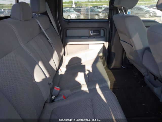 Photo 7 VIN: 1FTFW1EF5DKD07167 - FORD F-150 