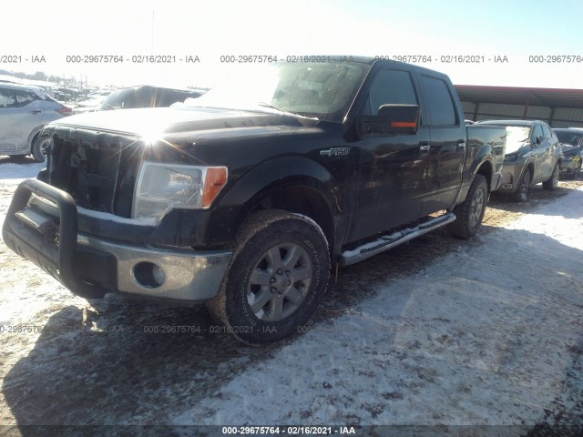 Photo 1 VIN: 1FTFW1EF5DKE03056 - FORD F-150 