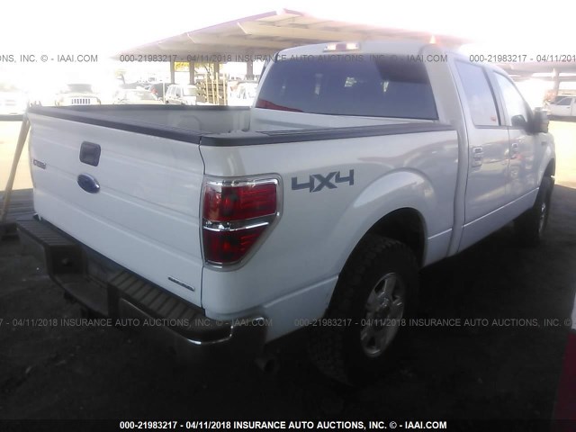 Photo 3 VIN: 1FTFW1EF5DKE34971 - FORD F-150 