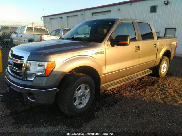 Photo 1 VIN: 1FTFW1EF5DKF12004 - FORD F-150 