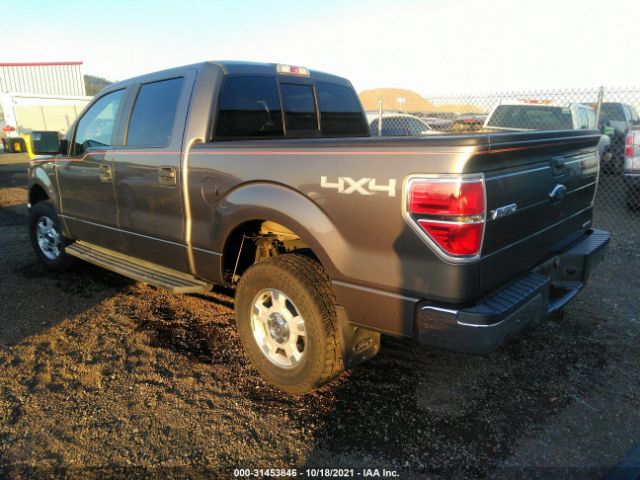 Photo 2 VIN: 1FTFW1EF5DKF12004 - FORD F-150 