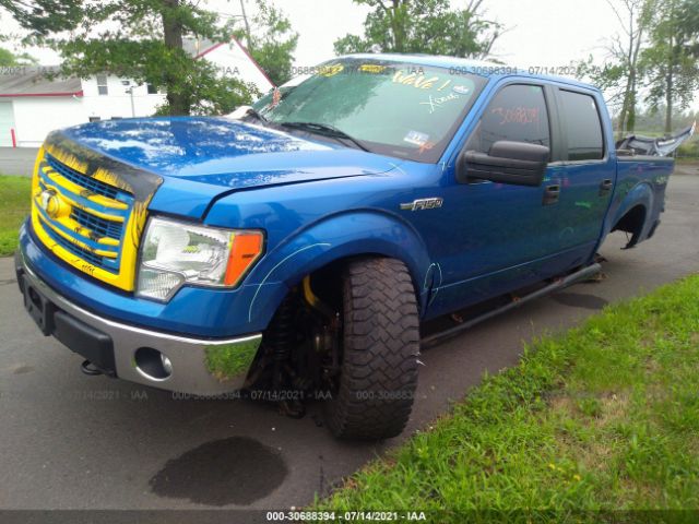 Photo 1 VIN: 1FTFW1EF5EFA31518 - FORD F-150 