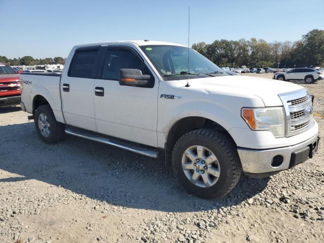 Photo 3 VIN: 1FTFW1EF5EFA92013 - FORD F150 SUPER 