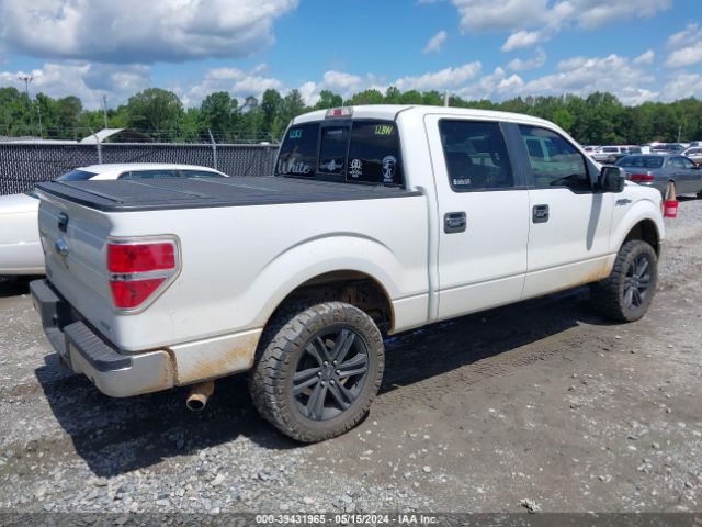 Photo 3 VIN: 1FTFW1EF5EFB66885 - FORD F-150 