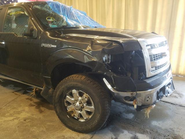 Photo 8 VIN: 1FTFW1EF5EFB75084 - FORD F150 SUPER 