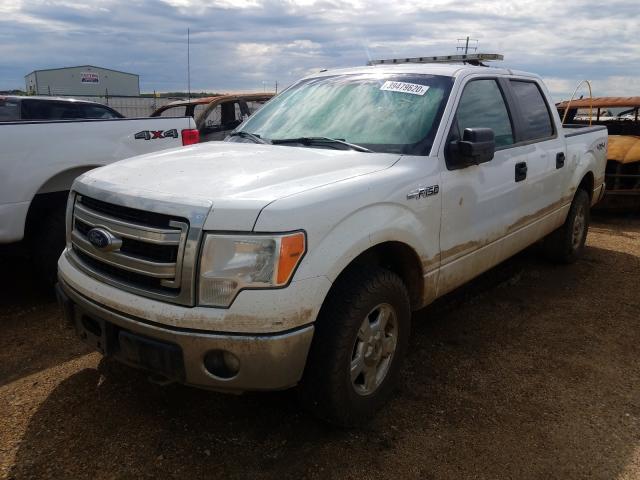 Photo 1 VIN: 1FTFW1EF5EFC36059 - FORD F150 SUPER 