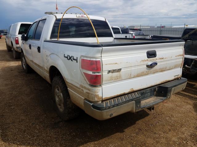 Photo 2 VIN: 1FTFW1EF5EFC36059 - FORD F150 SUPER 