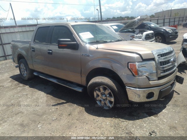 Photo 0 VIN: 1FTFW1EF5EKD37769 - FORD F-150 