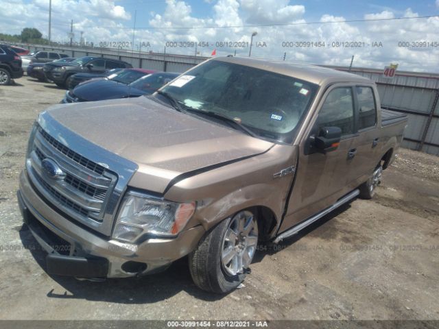 Photo 1 VIN: 1FTFW1EF5EKD37769 - FORD F-150 