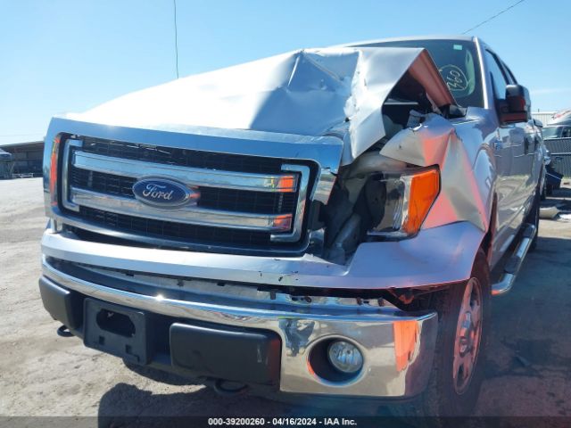 Photo 5 VIN: 1FTFW1EF5EKD75843 - FORD F-150 