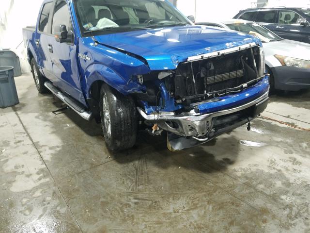 Photo 8 VIN: 1FTFW1EF5EKE22725 - FORD F150 SUPER 