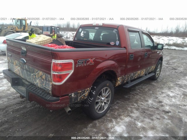 Photo 3 VIN: 1FTFW1EF5EKF13946 - FORD F-150 