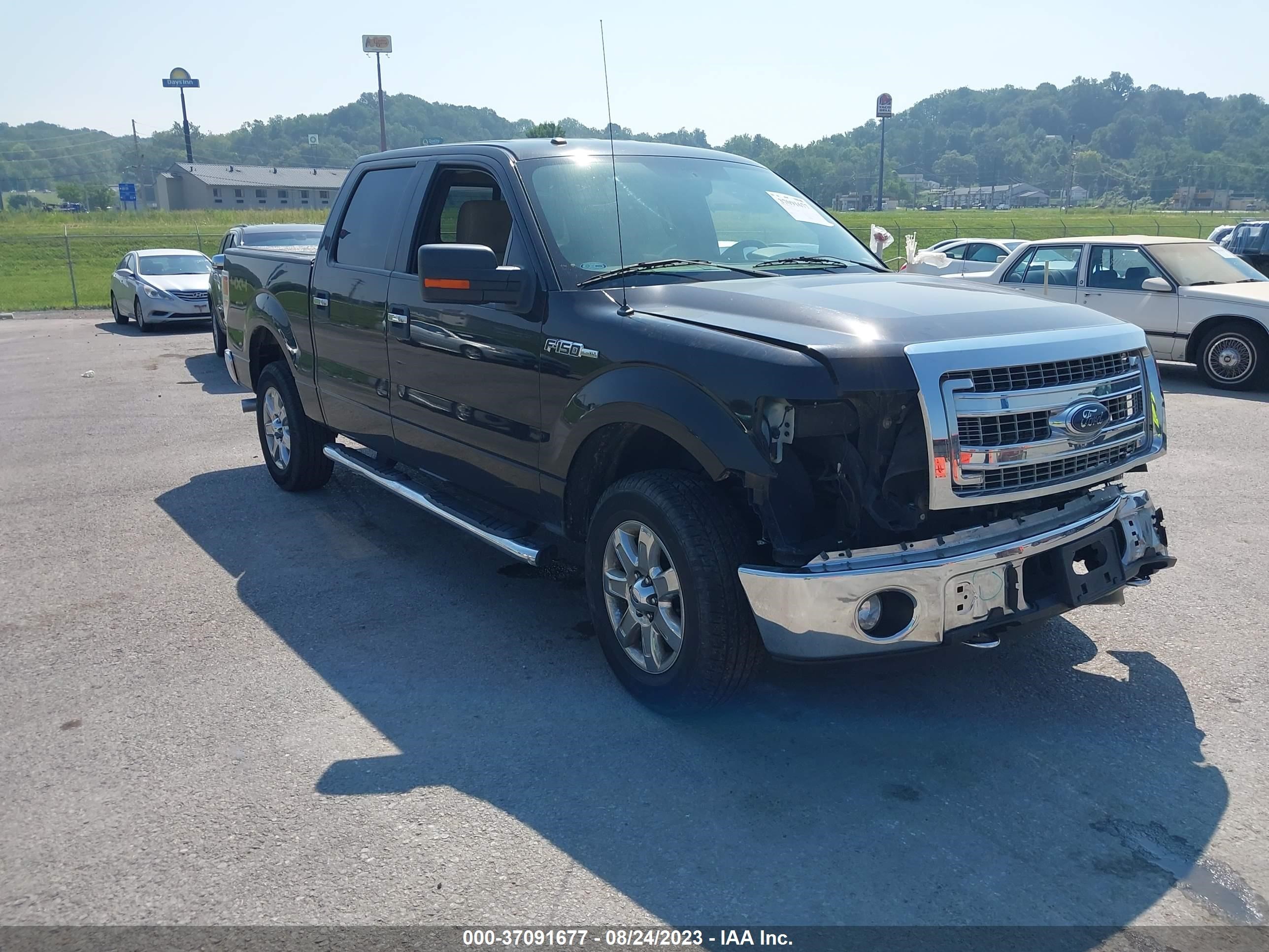 Photo 0 VIN: 1FTFW1EF5EKF22825 - FORD F-150 