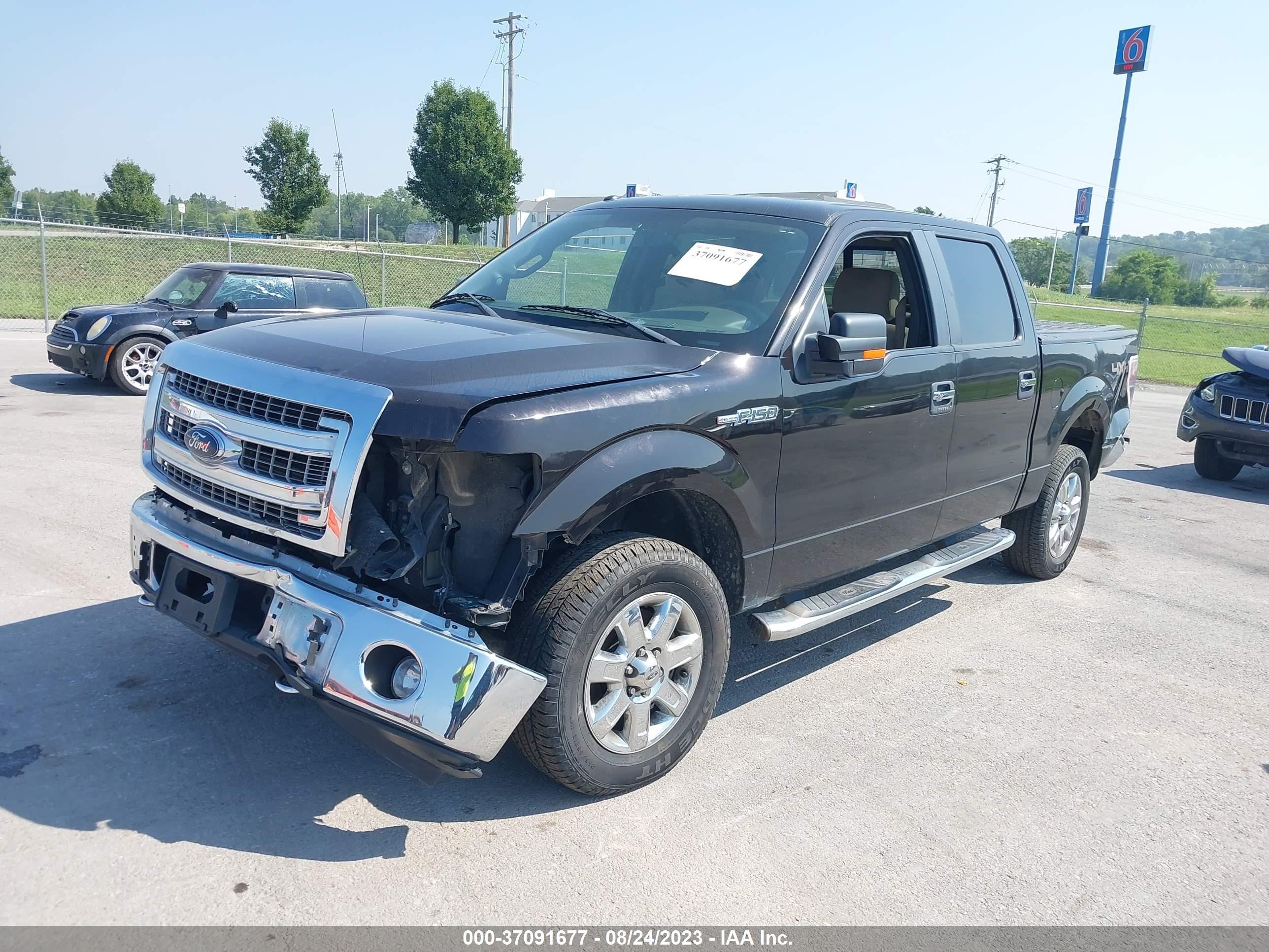 Photo 1 VIN: 1FTFW1EF5EKF22825 - FORD F-150 