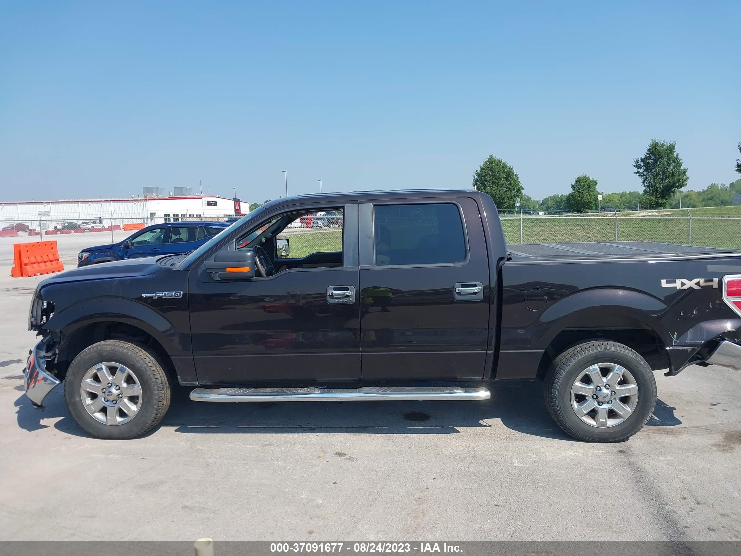 Photo 13 VIN: 1FTFW1EF5EKF22825 - FORD F-150 