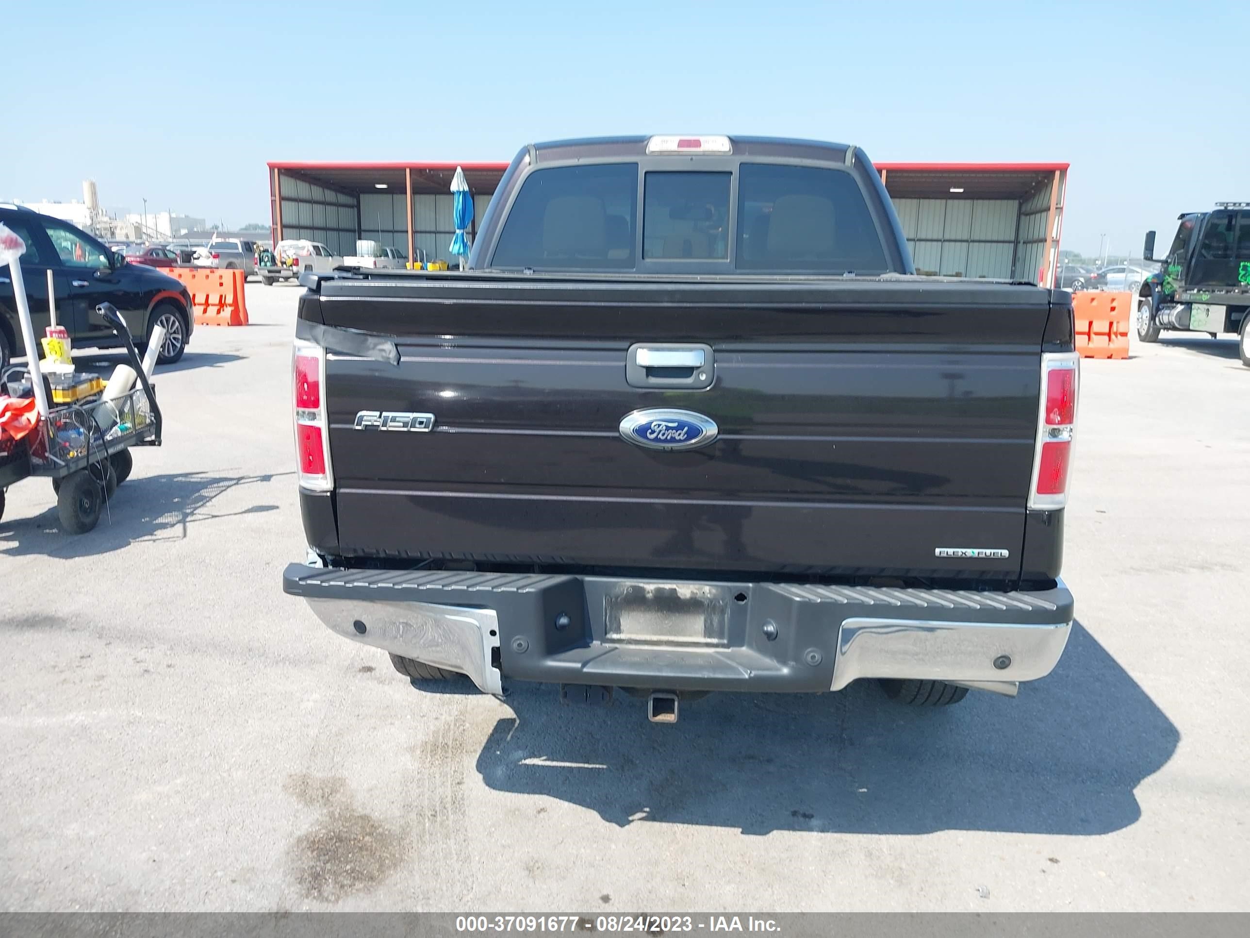 Photo 15 VIN: 1FTFW1EF5EKF22825 - FORD F-150 