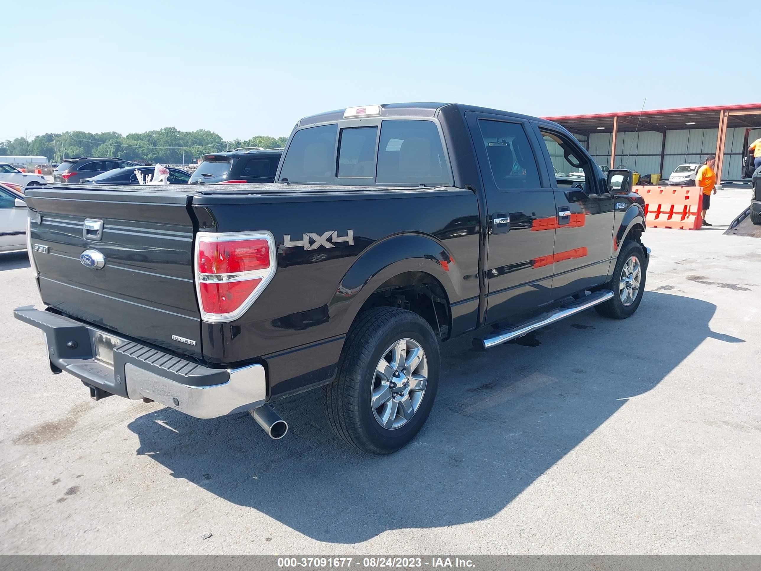 Photo 3 VIN: 1FTFW1EF5EKF22825 - FORD F-150 