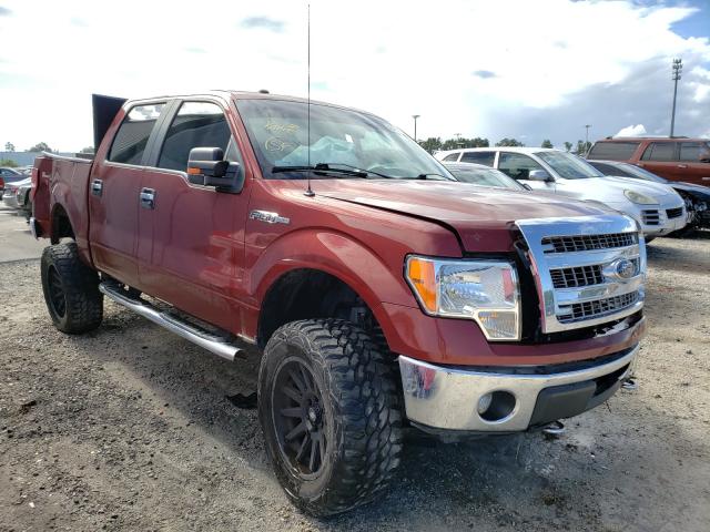 Photo 0 VIN: 1FTFW1EF5EKF33176 - FORD F150 SUPER 