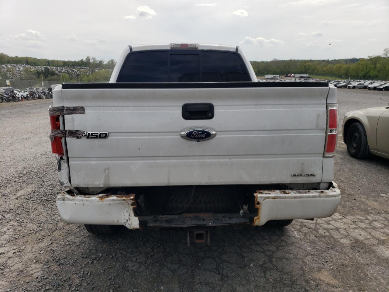 Photo 5 VIN: 1FTFW1EF5EKG44522 - FORD F-150 