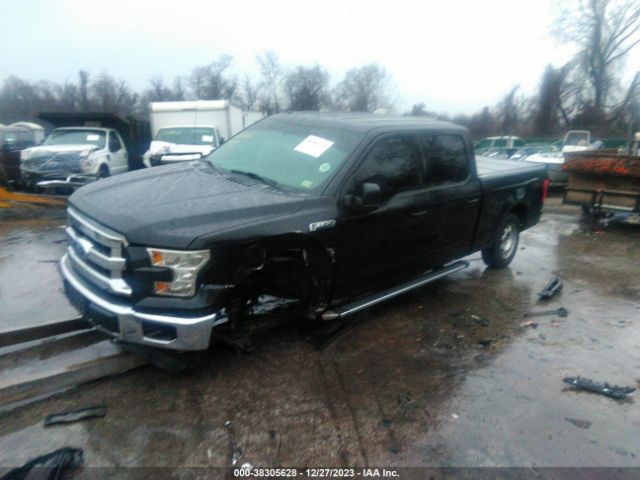 Photo 1 VIN: 1FTFW1EF5FFB42815 - FORD F-150 