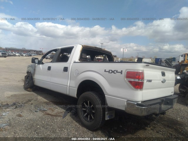 Photo 2 VIN: 1FTFW1EF6BFB86218 - FORD F-150 