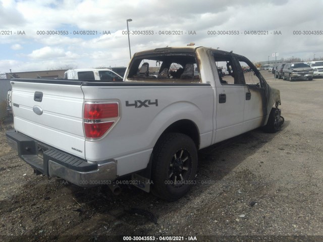 Photo 3 VIN: 1FTFW1EF6BFB86218 - FORD F-150 