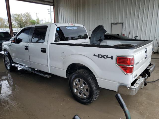 Photo 1 VIN: 1FTFW1EF6CFA41911 - FORD F-150 