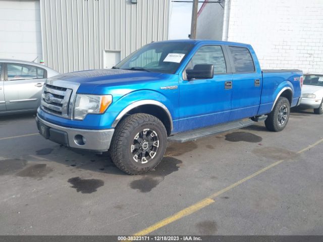 Photo 1 VIN: 1FTFW1EF6CFB16462 - FORD F-150 