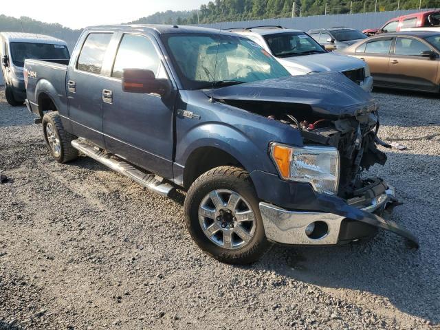 Photo 3 VIN: 1FTFW1EF6DFA13222 - FORD F150 SUPER 