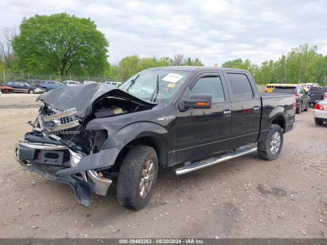 Photo 1 VIN: 1FTFW1EF6DFA22678 - FORD F150 