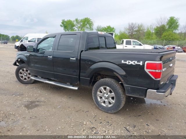 Photo 2 VIN: 1FTFW1EF6DFA22678 - FORD F150 