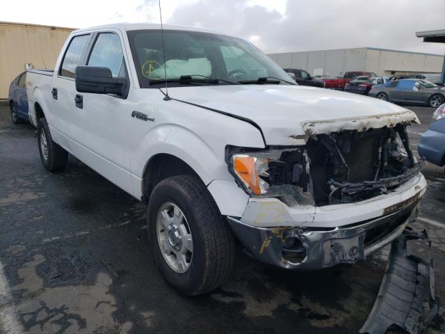 Photo 0 VIN: 1FTFW1EF6DFB68370 - FORD F-150 