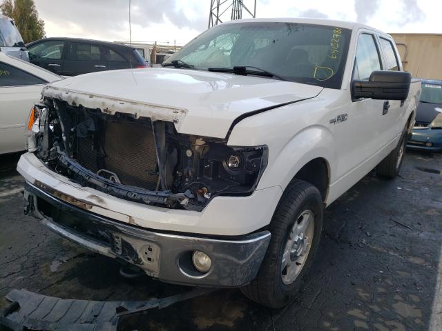 Photo 1 VIN: 1FTFW1EF6DFB68370 - FORD F-150 