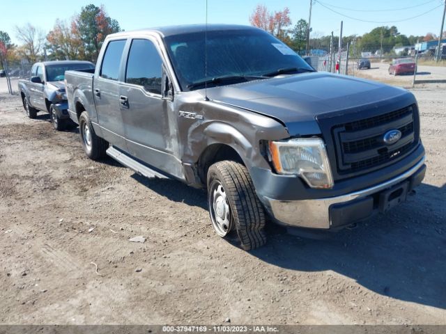 Photo 0 VIN: 1FTFW1EF6DFC14182 - FORD F-150 