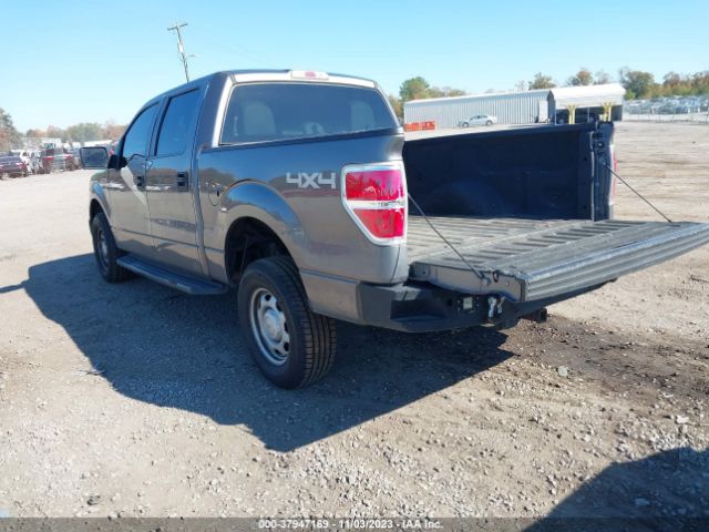 Photo 2 VIN: 1FTFW1EF6DFC14182 - FORD F-150 