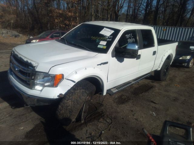 Photo 1 VIN: 1FTFW1EF6DFC21813 - FORD F-150 