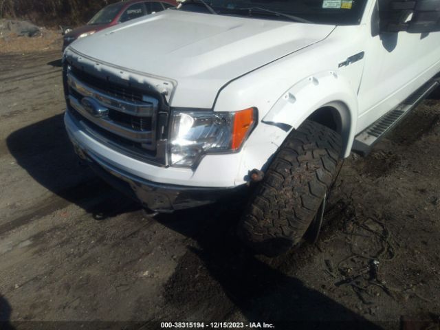 Photo 5 VIN: 1FTFW1EF6DFC21813 - FORD F-150 