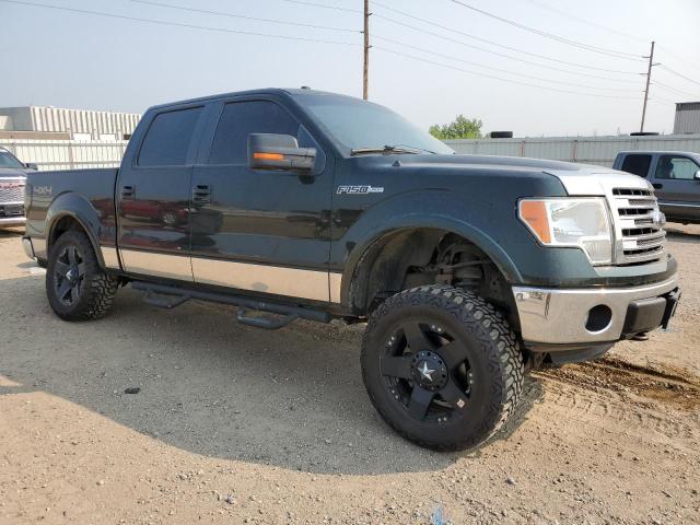 Photo 3 VIN: 1FTFW1EF6DFD70125 - FORD F-150 